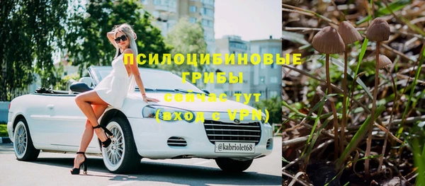 твердый Алзамай