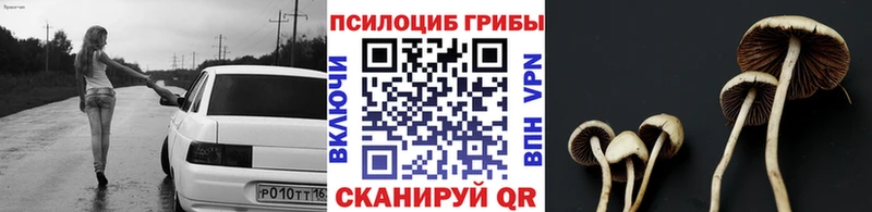 Псилоцибиновые грибы GOLDEN TEACHER  Анива 