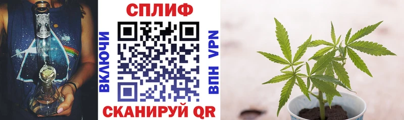 Каннабис марихуана Анива